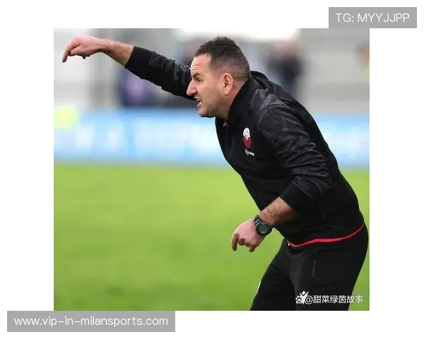 布加勒斯特星队新赛季战略升级：引进多名欧洲替补，打造豪华轮换阵容