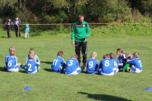 NBA球员防守选择行为在战术系统中的适应性，nba球员防守效率