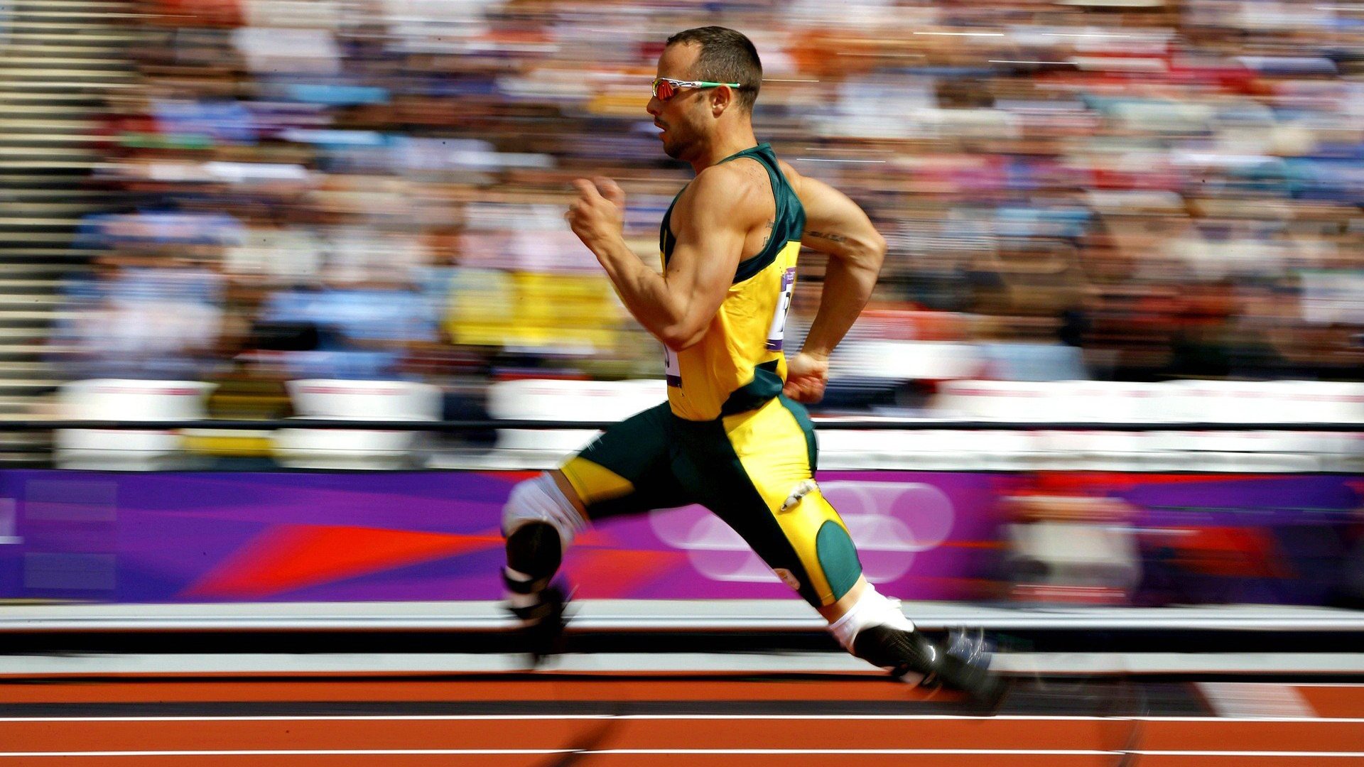 中小学体育教师培训体系优化研究，中小学体育骨干教师培训总结