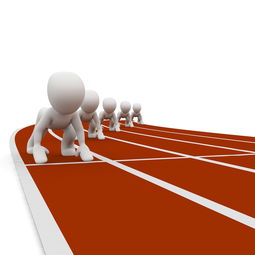 中小学体育教师职业成长路径研究，中小学体育教师现状