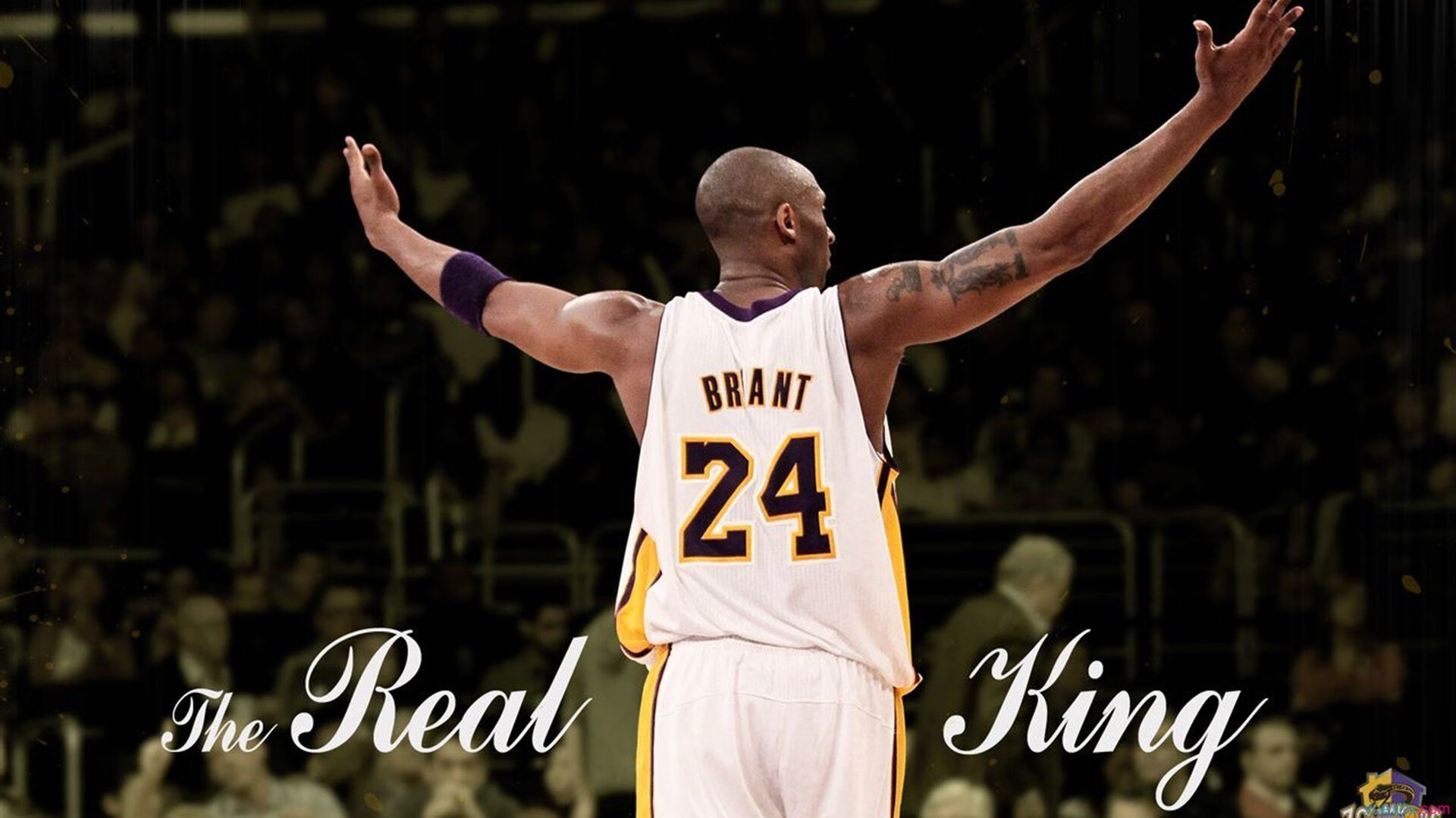 主力核心球员如何通过节奏引导全队，主力节奏指标公式